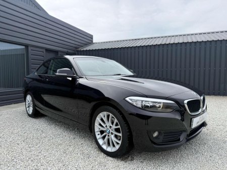 BMW 2 SERIES 2.0 218d SE Euro 6 (s/s) 2dr
